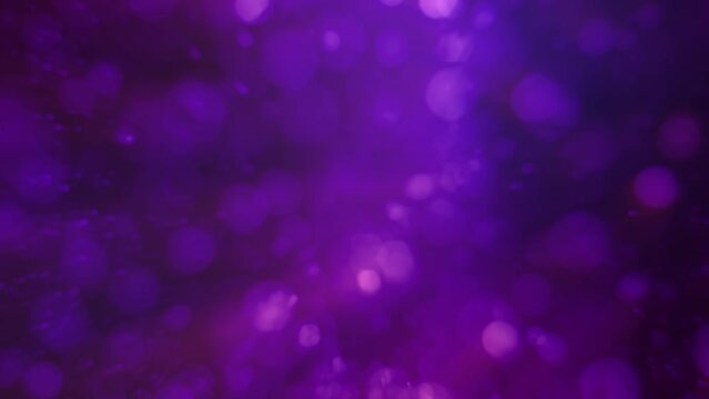 lighting blue - lilac abstract ardent curved objects gradient bg - loop video