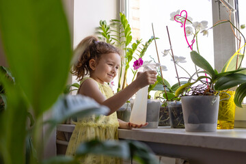 girl taking care of flowers, watering home plants, houseplant  at windowsill. child cozy home. Kid gardener spraying orchids with water. gardening floriculture. Green environment