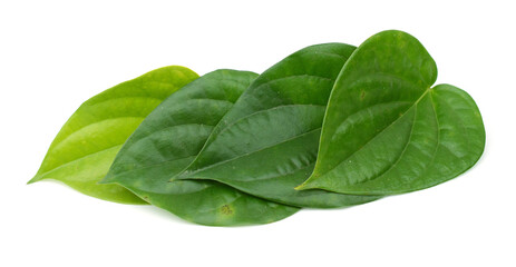 Edible betel leaf - obrazy, fototapety, plakaty