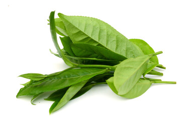 Tea leaf