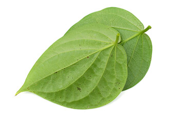 Obraz premium Green betel leaf isolated on white background