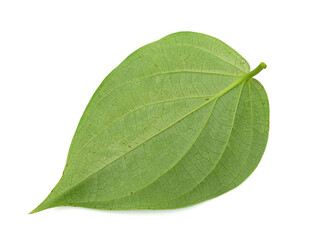 Piper betle leaf