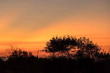 Fototapeta na wymiar red sky at dusk over shrubland, Kruger park, South Africa
