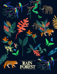 Wild Rain Forest Jungle Elements