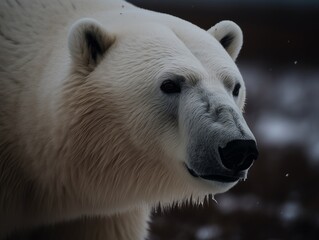 Obraz na płótnie Canvas Polar Bear Majesty: Stunning Shot AI Generated Generative AI
