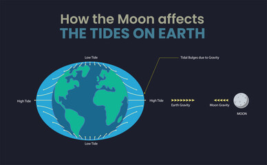 how the moon affects the earth's tides