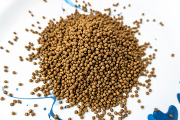 Close-up small fish feed isolated on white plate. Feed for carpfish. Rich nutritional animal feed on white background