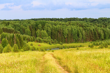 Fototapeta na wymiar A picturesque view of the forest with a green grassy field in the city and a cloudy blue sky on the background. Selective focus