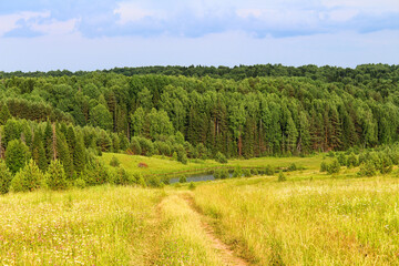 A picturesque view of the forest with a green grassy field in the city and a cloudy blue sky on the background. Selective focus