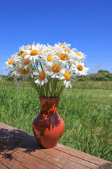 A bouquet of white daisies in a ceramic vase. Spring and summer flowers.