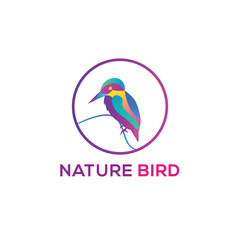 Colorful Bird logo template