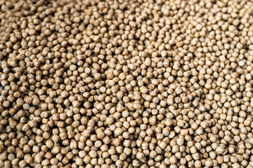 close up of granulated fish food texture. Small fish feed isolated on white plate. Feed for carpfish