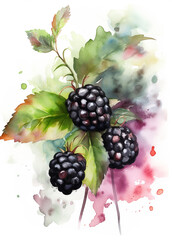 Raspberries watercolor painting isolated on white background ai generative