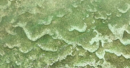 Aerial view of ocean floor with coral reefs. Turquoise lagoon surface on atoll copy space for text. Siquijor, Philippines.