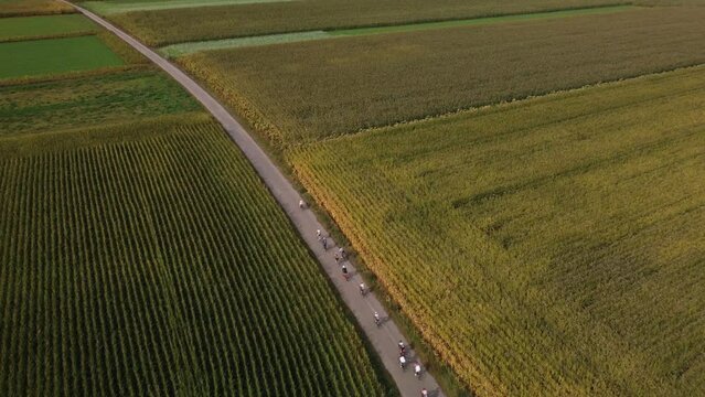Cyclists through a field