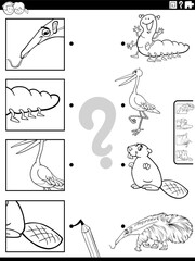 match cartoon animals and clippings game coloring page © Igor Zakowski