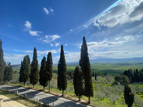 Tipico paesaggio Toscano nel periodo primaverile con le file di Cipressi