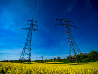 Strommasten im Rapsfeld