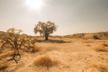Scorching summer heatwave over barren and parched landscape. The unforgiving sun beats down relentlessly, a stark reminder of the devastating impact of climate change on our planet. Generative AI.