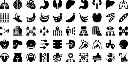 Obraz na płótnie Canvas Organ Icon Set Isolated Silhouette Solid Icons With Vector, Body, Icon, Human, Organ, Symbol, Anatomy Infographic Simple Vector Illustration