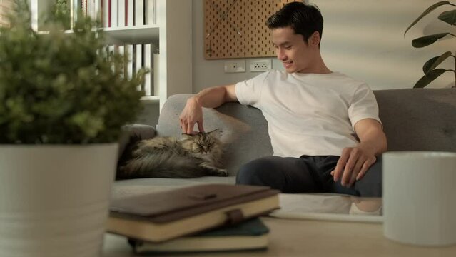Happy Asian man relaxing on couch and petting a cat in domestic room with day light.