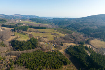 Aerial view of pine forest with large area of cut down trees as result of global deforestation industry. Harmful human influence on world ecology