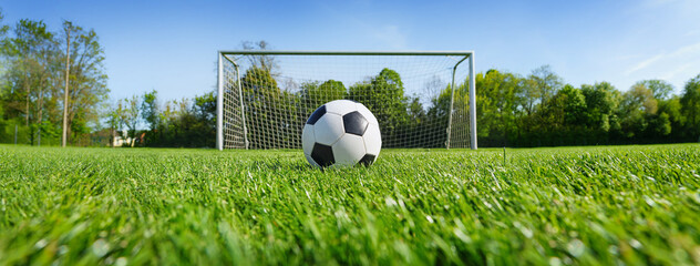 textured soccer game field with ball in front of the soccer goal. - center, midfield