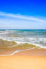 Beautiful landscape of the Indian Ocean coast