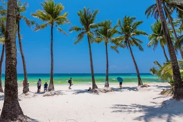 Photo sur Plexiglas Plage blanche de Boracay Boracay, Malay, Aklan, Philippines - April 2023: Coconut trees near Station 1 of the popular White Beach in Boracay Island.