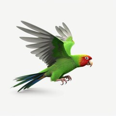 parrot, bird, animal, green, tropical, nature, beak, colorful, pet, macaw, feather, isolated, wildlife, parakeet, wild, exotic, yellow, cartoon, branch, amazon, blue, vector, color, red, illustration