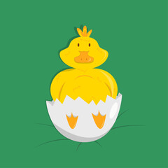 Duckling in shell on the grass