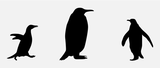 isolated black silhouette of a penguin , vector collection
