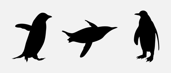 isolated black silhouette of a penguin , vector collection