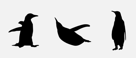 isolated black silhouette of a penguin , vector collection
