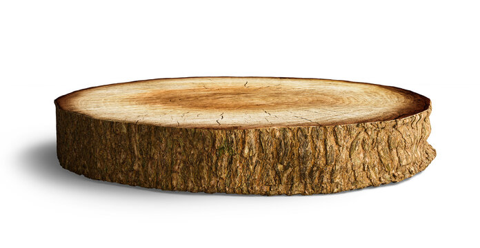 Tree trunk cut in 3d render realistic