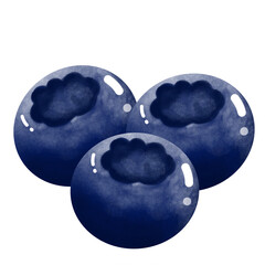 Watercolor blueberries clipart. Hand drawn summer fruit illustration isolated on transparent background.