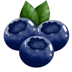 Watercolor blueberries and green leaves clipart. Hand drawn summer fruit illustration isolated on transparent background.