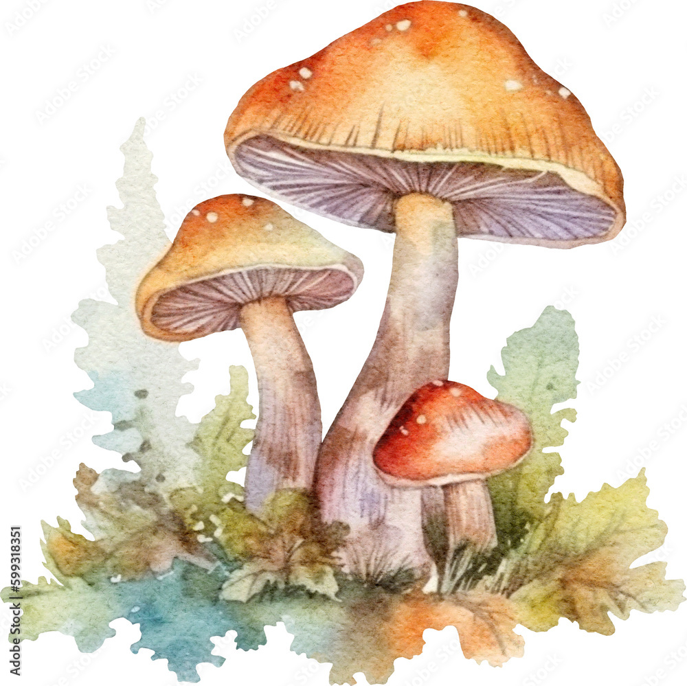 Poster mushrooms illustration created with generative ai technology