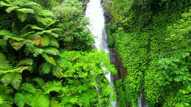 Bali Fiji Waterfall is Bali Places of Interest which contains information about Triple waterfalls located in Lemukih village, Sawan, Buleleng.
