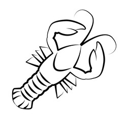 Lobster, crawfish, spiny lobster, hermit crab. Crustacean vector art. Hand drawn illustrations. Realistic sketches sea animal