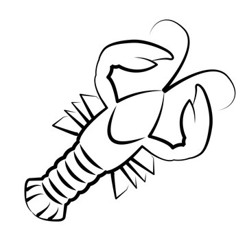 Lobster, crawfish, spiny lobster, hermit crab. Crustacean vector art. Hand drawn illustrations. Realistic sketches sea animal