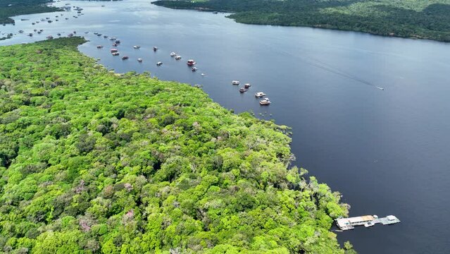 Amazon Forest At Manaus Amazonas Brazil. Riverside Rivers. Forest Aerial View Amazon Green. Forest Outdoors Amazon Background Vegetation. Forest Green Summer Rainforest. Manaus Amazonas.