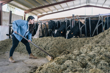 Image of a young woman farmer with a rural broom collecting and gathering green grass to feed the cows.