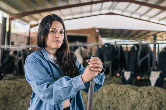 Medium shot portrait of a serious young woman farmer looking at the camera and holding a farm tool with both hands next to her cows.c