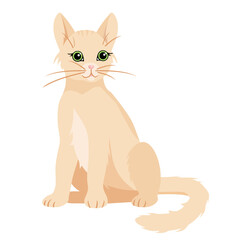 A small peach-colored kitten sitting isolated on a white background.Vector illustration of a pet.
