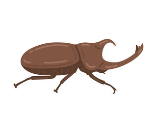 横から見た、カブトムシの成虫のイラスト