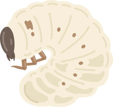 カブトムシの幼虫のイラスト