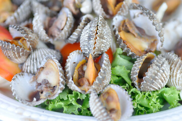 shell or ark shell, cockle or scallop or scald shell