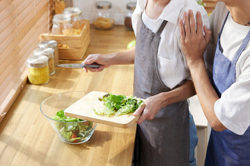 Closeup LGBT gay couple cooking vegetables together in the kitchen
