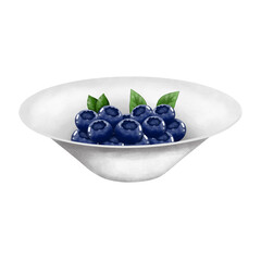 Watercolor blueberries on a white  plate. Hand drawn summer fruit illustration isolated on white background.